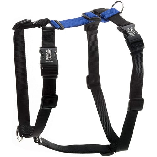 Dog Harnesses Helpful Tools for Loose Leash Walking Preventive Vet